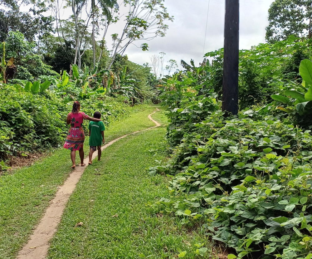 Duas crianças em um caminho no seu de um bananal